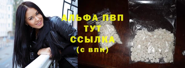 PSILOCYBIN Балахна