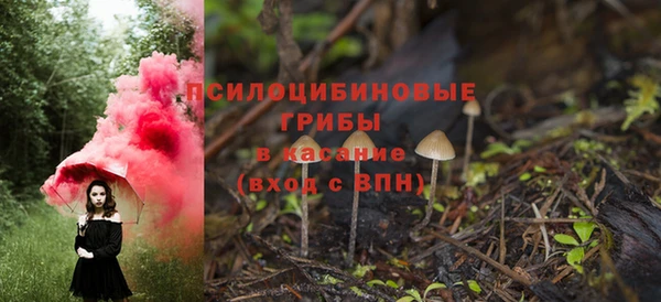 PSILOCYBIN Балахна